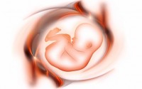 fetal-membrane-image